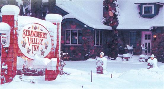 Strawberry Valley Inn Mount Shasta Ngoại thất bức ảnh
